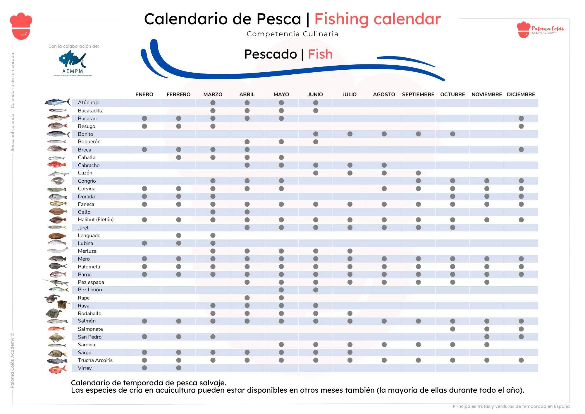 MESES - Calendario de Temporada - Paloma Colás Academy
